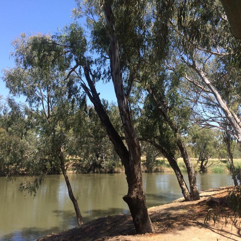 Hotel Wagga Wagga Beach Caravan Park Zimmer foto
